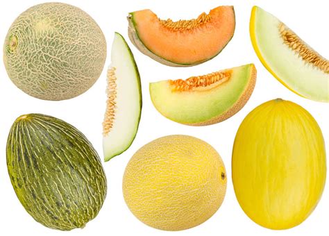 melons tybe|Types of Melons: Different Melon Varieties With Pictures and Names